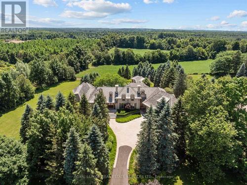 Stonegate Manor - An Architectural Masterpiece! - 10090 Pineview Trail, Milton, ON - Outdoor With View
