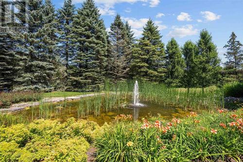 Enjoy 2.5 Acres of Beautifully Manicured Grounds! - 10090 Pineview Trail, Milton, ON - Outdoor With View