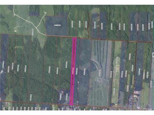 Lot 355 Rte, Sainte-Rose, NB 