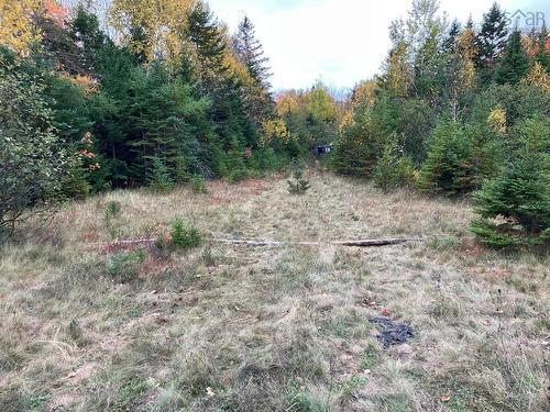 Pinevale Road, Dunmore, NS 