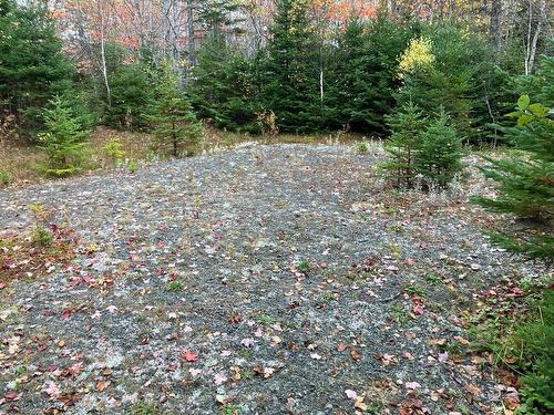 Pinevale Road, Dunmore, NS 
