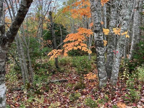 Pinevale Road, Dunmore, NS 