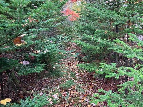 Pinevale Road, Dunmore, NS 