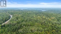 2039 COUNTY ROAD 620  North Kawartha, ON K0L 1A0