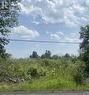 Lot 5 - View from road. - Lt 5 Harmony Road E, North Dundas, ON  - Outdoor With View 