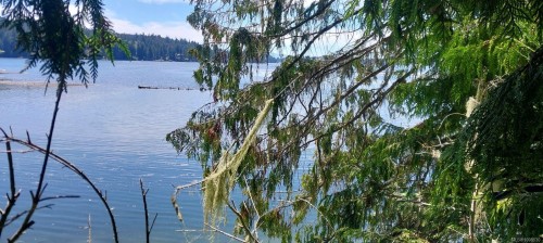 Lot 2 Glenidle Rd, Sooke, BC 
