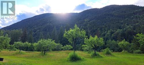 6191 Chimdemash Frontage Road, Terrace, BC - Outdoor With View