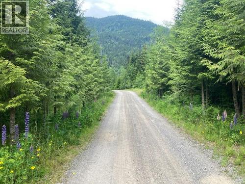 6191 Chimdemash Frontage Road, Terrace, BC - Outdoor With View