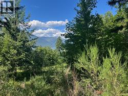 Lot B Government Street  Nelson, BC V1L 3K9