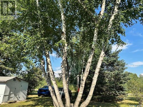 24 Ruby Crescent, Hudson Bay, SK - Outdoor