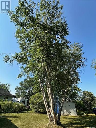 24 Ruby Crescent, Hudson Bay, SK - Outdoor