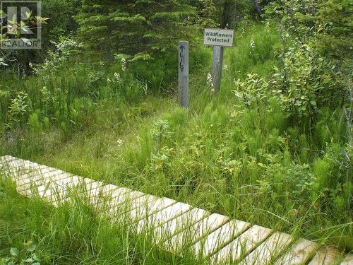 6074 Bella Vista Boulevard, Fairmont Hot Springs, BC 