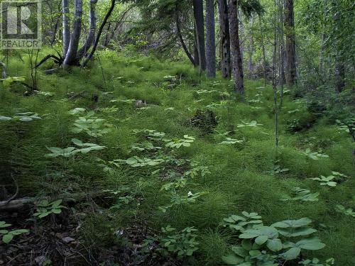 6074 Bella Vista Boulevard, Fairmont Hot Springs, BC 