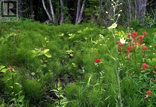 6074 Bella Vista Boulevard, Fairmont Hot Springs, BC 