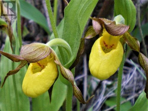 6074 Bella Vista Boulevard, Fairmont Hot Springs, BC 