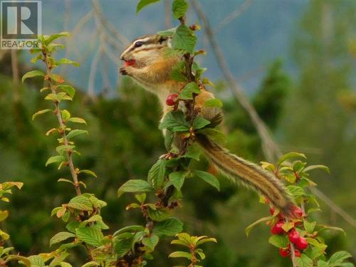 6074 Bella Vista Boulevard, Fairmont Hot Springs, BC 