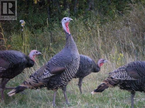 6074 Bella Vista Boulevard, Fairmont Hot Springs, BC 