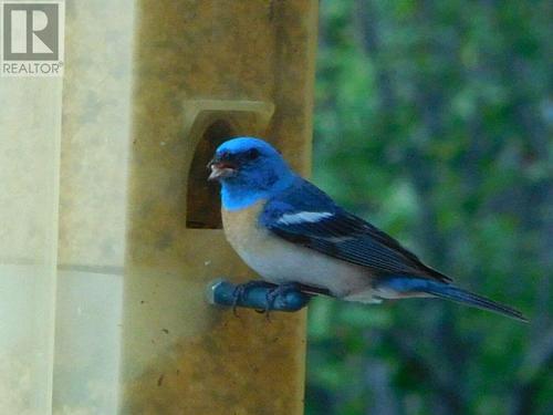 6074 Bella Vista Boulevard, Fairmont Hot Springs, BC 