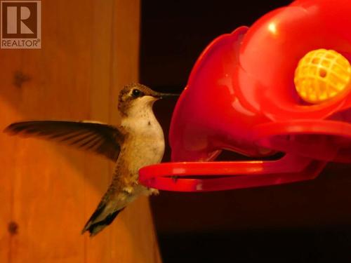 6074 Bella Vista Boulevard, Fairmont Hot Springs, BC 