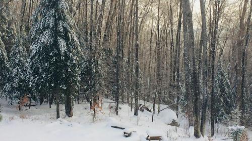 View - 142 Ch. De L'Orée-Des-Lacs, Mont-Tremblant, QC - Outdoor With View