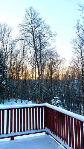 View - 142 Ch. De L'Orée-Des-Lacs, Mont-Tremblant, QC - Outdoor