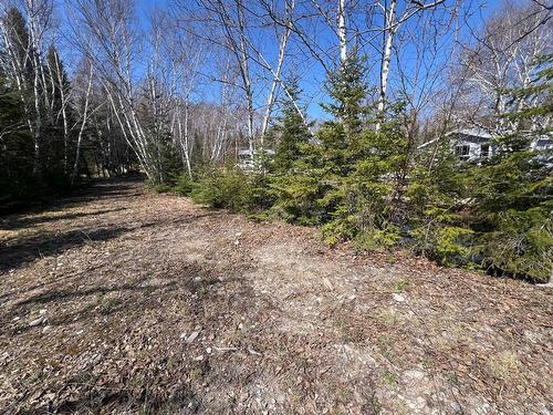 Exterior - 871 Ch. Du Pin-Rouge, Laverlochère-Angliers, QC - Outdoor With View