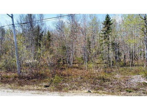 Lot 2 O'Keefe, Miramichi, NB 