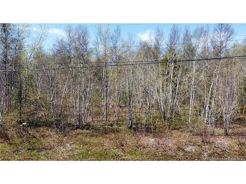Lot 2 O'Keefe, Miramichi, NB 