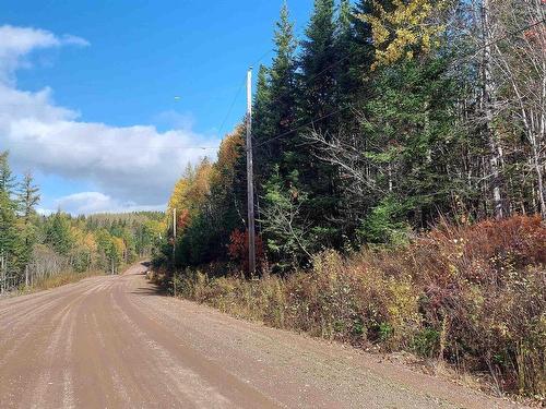 75 Evanston Rd, Cleveland, NS 