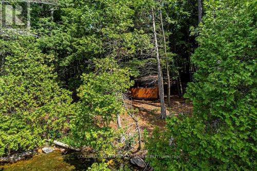 2275 Palmerston Lake, Frontenac (Frontenac North), ON - Outdoor