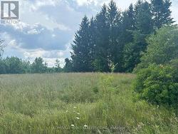 LOT 1 BURRITTS RAPIDS ROAD  Ottawa, ON K0G 1N0