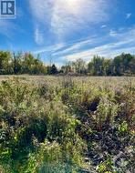 25 HONEY BEE GROVE  Ottawa, ON K0A 2Z0