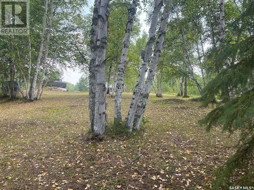 Andrews Way, Sunset Cove, Big River Rm No. 555, SK 