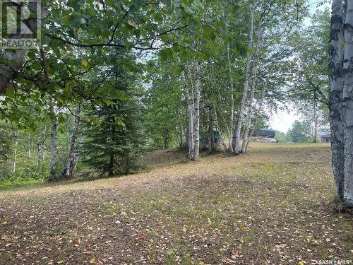 Andrews Way, Sunset Cove, Big River Rm No. 555, SK 