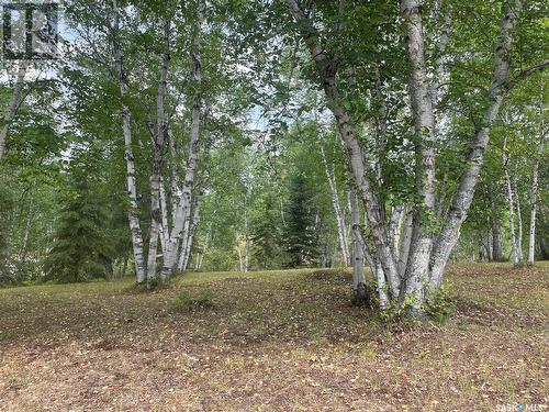 Andrews Way, Sunset Cove, Big River Rm No. 555, SK 