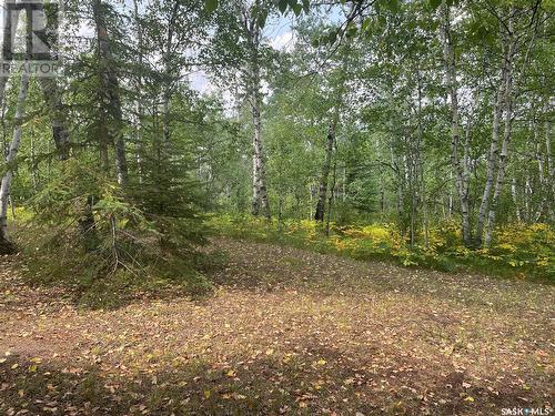 Andrews Way, Sunset Cove, Big River Rm No. 555, SK 