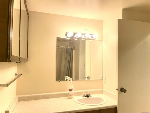 105-550 Bradley St, Nanaimo, BC - Indoor Photo Showing Bathroom