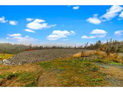 18 Tuckford Road, St. Philips, NL 