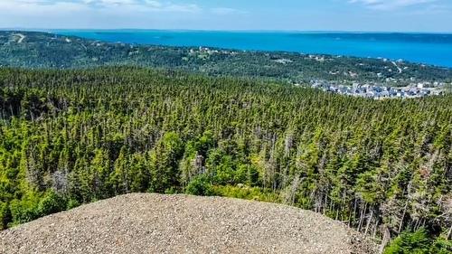 18 Tuckford Road, St. Philips, NL 