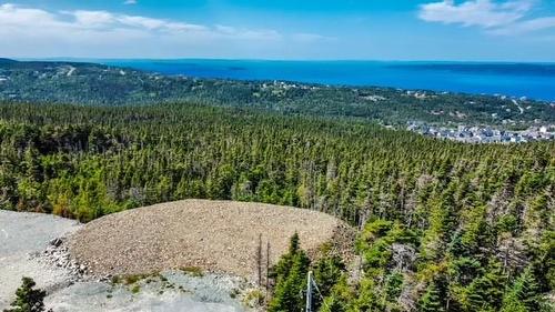 18 Tuckford Road, St. Philips, NL 