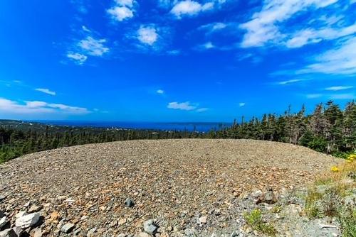 18 Tuckford Road, St. Philips, NL 