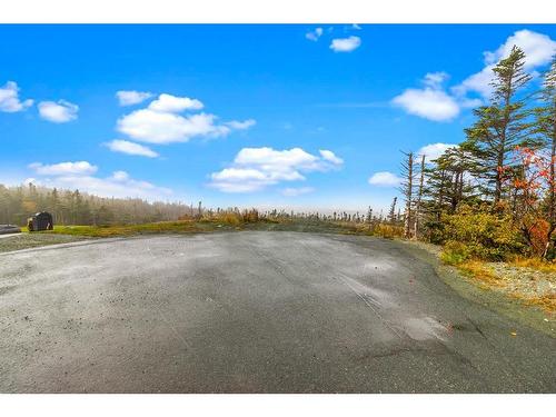 18 Tuckford Road, St. Philips, NL 