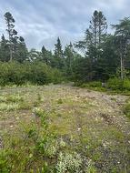 19 Island Pond Road  Spread Eagle, NL A0B 2W0