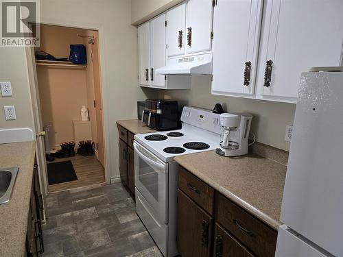 1001 Bartlett Drive, Labrador City, NL - Indoor Photo Showing Kitchen