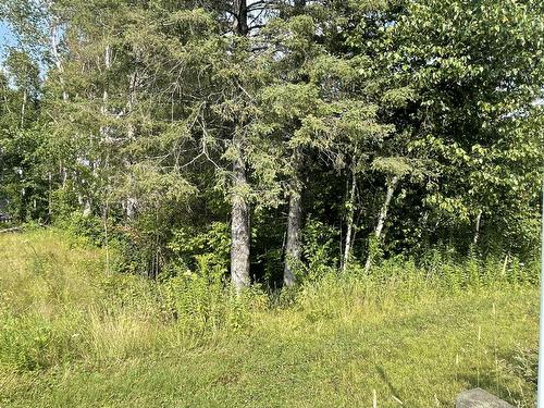 Terre/Terrain - Rue Des Algonquins, Mont-Laurier, QC 