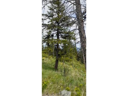 Lot 1 & 2 Gibson Road, Lumby, BC 