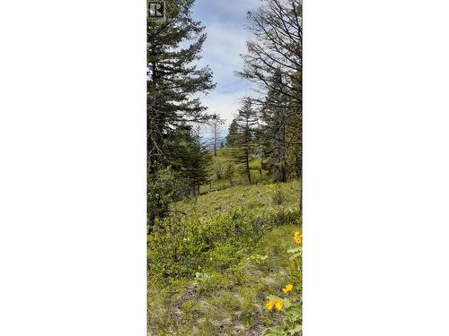 Lot 1 & 2 Gibson Road, Lumby, BC 