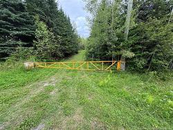 Lot 0 Route 380  Bell Grove, NB E7G 4E3