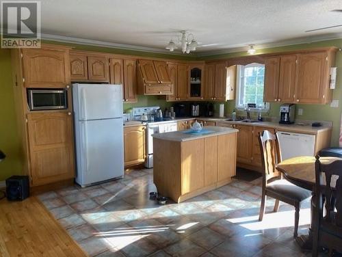 31 Alexander Crescent, Glovertown, NL - Indoor Photo Showing Kitchen With Double Sink