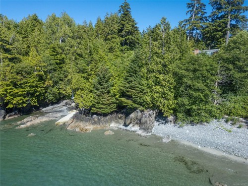 261 Cedar St, Tofino, BC 